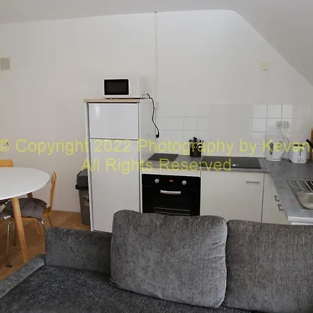 公寓 Les Chats Noirs 普雷昂帕伊-圣桑松